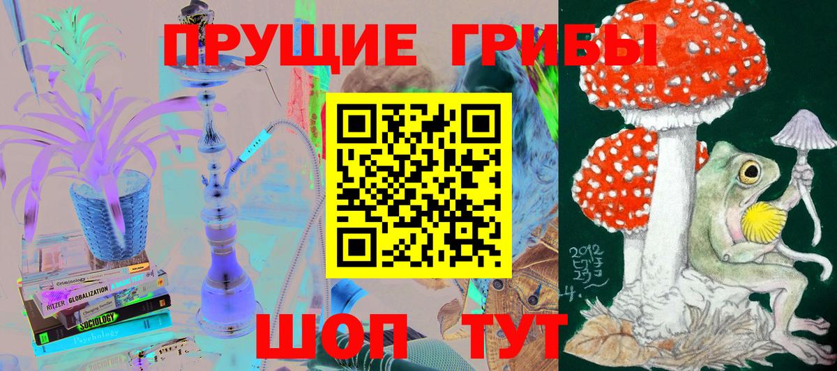 Псилоцибиновые грибы Magic Shrooms  Вход с VPN  купить наркотики цена  Галлюциногенные грибы MAGIC MUSHROOMS  Дальнереченск 