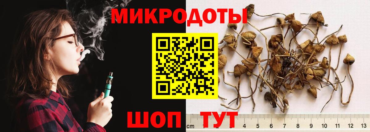 Псилоцибиновые грибы Psilocybe Дальнереченск